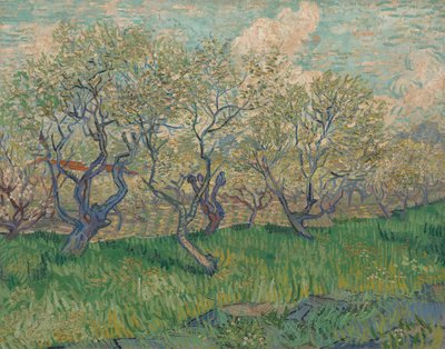 Frutteto in fiore da Vincent van Gogh